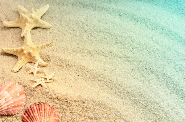 Mořské mušle na písku, horní pohled, letní koncepce — Stock fotografie
