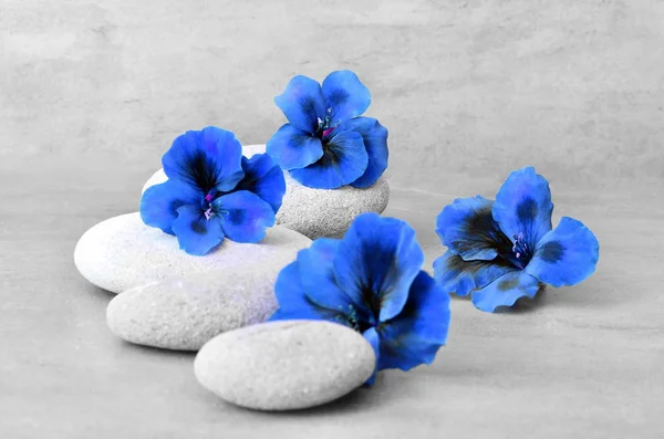 Концепция спа с цветами и камнями — стоковое фото
