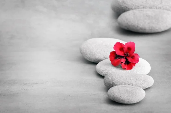Concetto Spa con fiore e pietre zen — Foto Stock