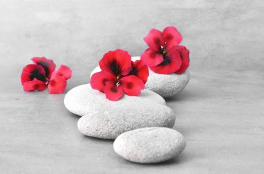 Çiçek ve zen taşlar Spa konseptiyle