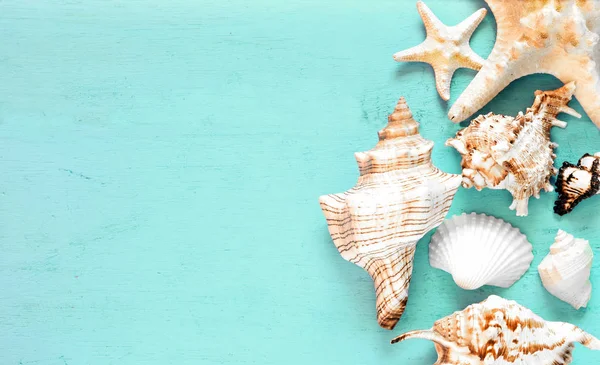 Fundo de verão, conchas do mar em madeira azul-turquesa, vista superior, espaço de cópia . — Fotografia de Stock
