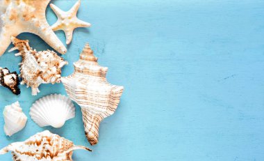 Yaz arka plan, mavi ahşap, üstten görünüm, kopya alanı deniz kabukları.