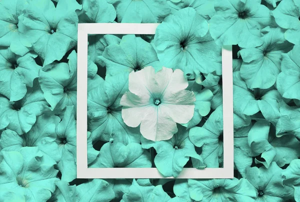 創造的なレイアウトは紙カード注の花から成っています。フラットが横たわっていた。性質の概念 — ストック写真