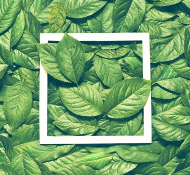 Kağıt kart notlu yapraklardan yapılmış yaratıcı bir düzen. Düz yatıyordu. Doğa konsepti