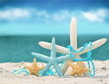 kum ile yaz sahilde deniz yıldızı