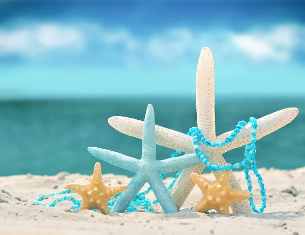 kum ile yaz sahilde deniz yıldızı