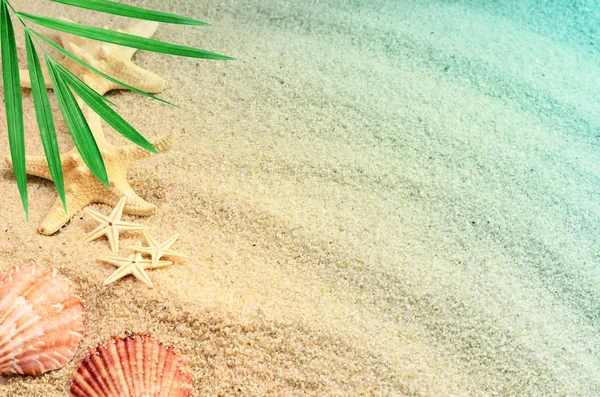 kum ile yaz sahilde deniz kabuklarını