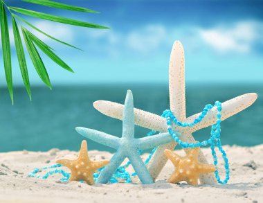 kum ile yaz sahilde deniz yıldızı