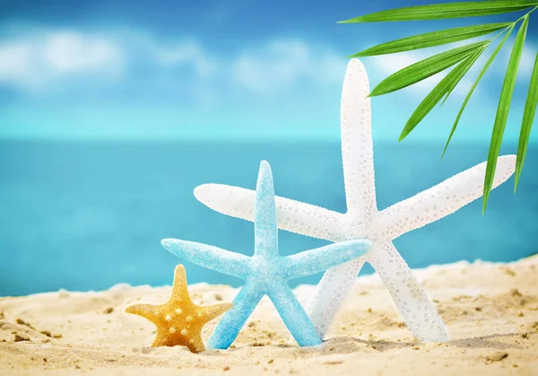 A homok a nyáron strand tengeri csillag — Stock Fotó
