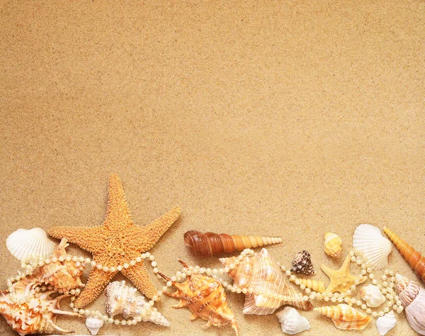 Летний пляж. Морская звезда и ракушка на песке — стоковое фото