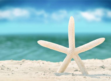 kum ile yaz sahilde deniz yıldızı