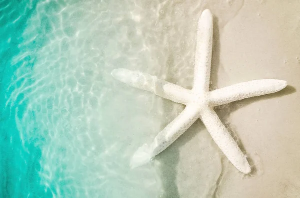 Estrela-do-mar na praia de verão com areia Fotos De Bancos De Imagens