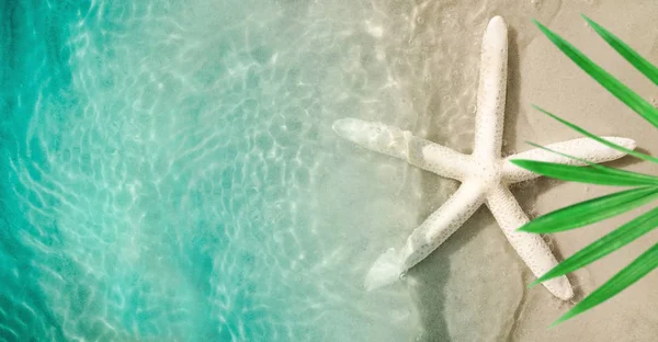 Étoile de mer sur la plage d'été avec sable — Photo