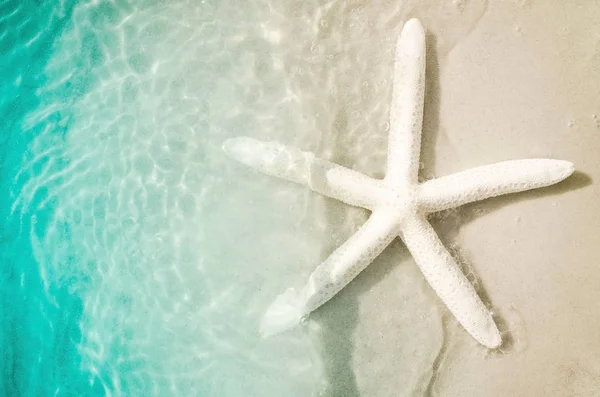 Étoile de mer sur la plage d'été avec sable — Photo