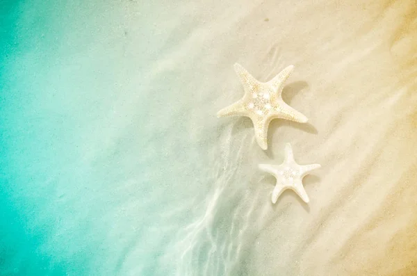 Étoile de mer sur la plage d'été avec sable — Photo