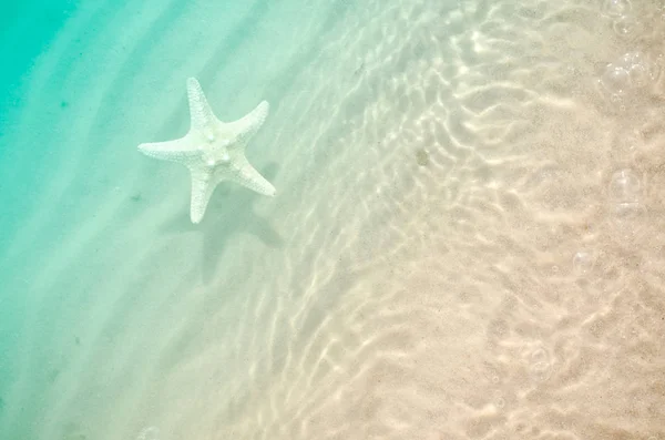 Seestern am Sommerstrand mit Sand — Stockfoto