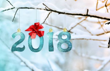 Rakamlar 2018, karla kaplı şube parkta asılı. Yeni Yılınız Kutlu Olsun