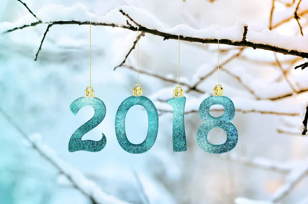 Rakamlar 2018, karla kaplı şube parkta asılı. Yeni Yılınız Kutlu Olsun