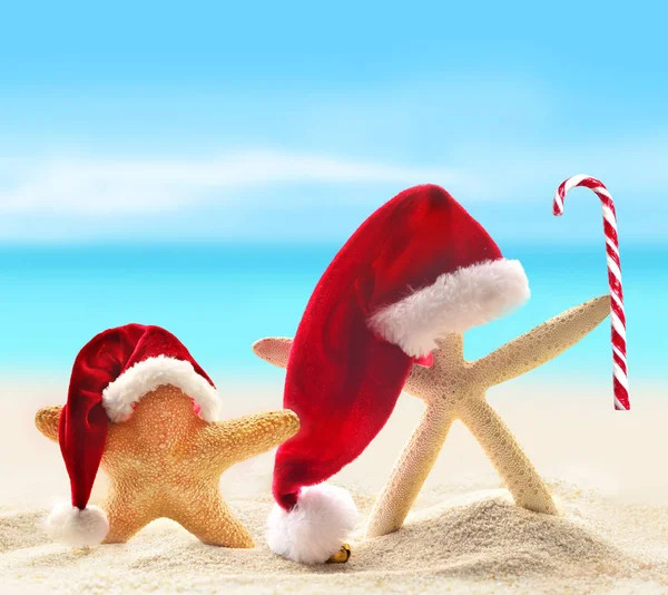 Stella marina in cappello di Babbo Natale sulla spiaggia sabbiosa — Foto Stock