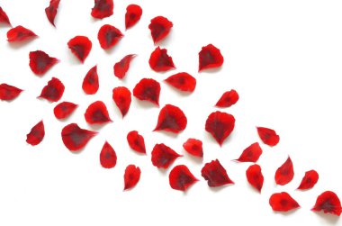 beyaz izole kırmızı çiçek yaprakları esinti