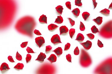 beyaz izole kırmızı çiçek yaprakları esinti