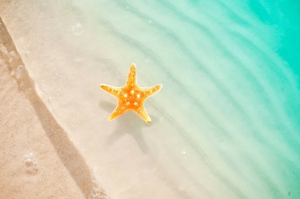 Estrella de mar en la playa de verano con arena — Foto de Stock