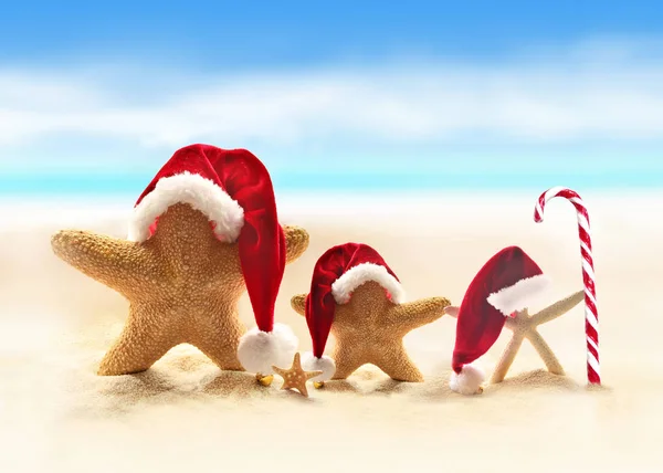 Starfish in santa hat on sandy beach — Stock Photo, Image