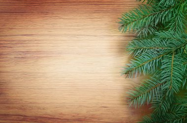 Köknar ağacı dalı kahverengi ahşap zemin üzerinde. Üstten Görünüm.