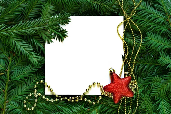 Fundo criativo de ramo de pinheiro com cartão de papel branco. Ano Novo e conceito de Feliz Natal . — Fotografia de Stock
