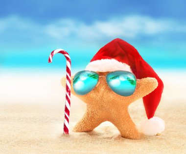 Deniz yıldızı güneş gözlüğü yaz plaj ve santa şapka. 