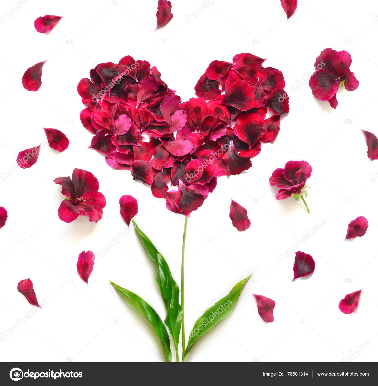 Resultado de imagem para PETALAS DE FLORES
