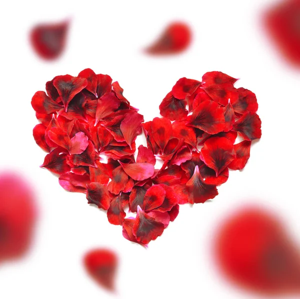 Herz aus Rosenblättern. rote Rosenblätter Herz über weißem Hintergrund. Ansicht von oben mit Kopierraum für Ihren Text. Liebe und romantisches Thema — Stockfoto