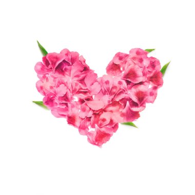 Kalp gül yaprakları yapılmış. Beyaz arka plan üzerinde kırmızı gül yaprakları kalp. Üstten Görünüm. Sevgi ve romantik Tema.