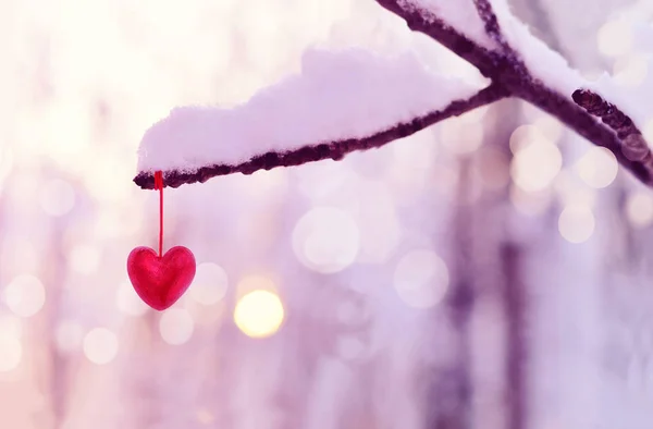 Coeur rouge sur branche d'arbre enneigée en hiver. Vacances joyeuses Saint Valentin . — Photo