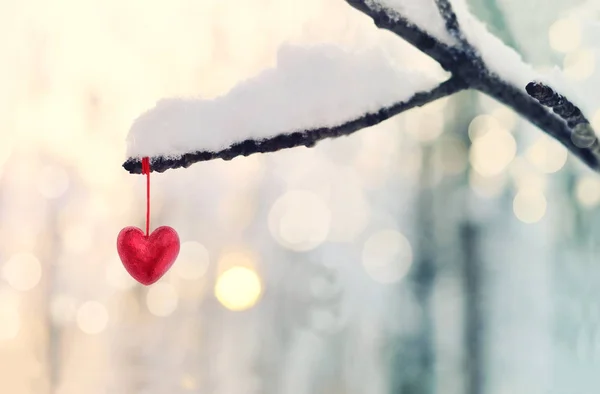 Coeur rouge sur branche d'arbre enneigée en hiver. Vacances joyeuses Saint Valentin célébration coeur amour concept . — Photo