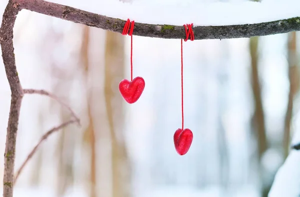 Coeurs rouges sur une branche d'arbre enneigée en hiver. Vacances joyeuses Saint Valentin célébration coeur amour concept . — Photo
