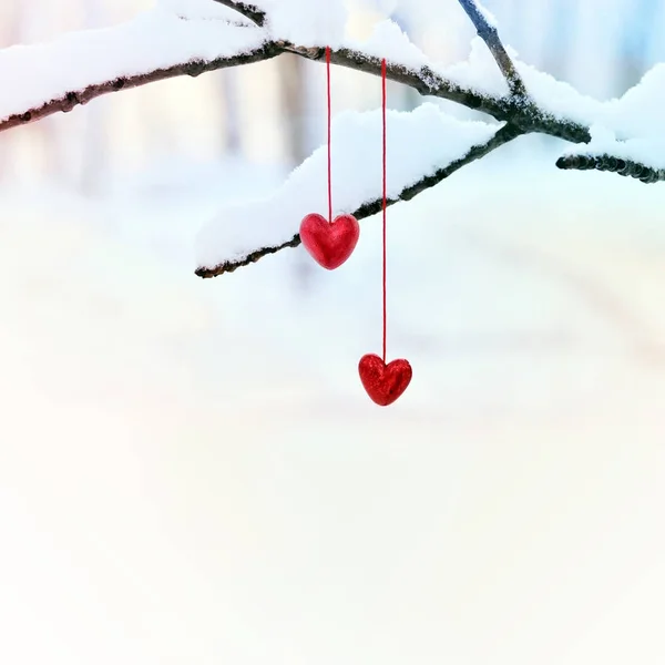 Coeurs rouges sur une branche d'arbre enneigée en hiver. Vacances joyeuses Saint Valentin célébration coeur amour concept . — Photo