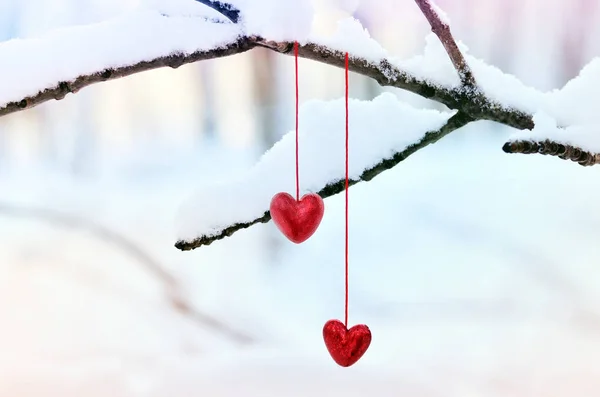 Coeurs rouges sur une branche d'arbre enneigée en hiver. Vacances joyeuses Saint Valentin célébration coeur amour concept . — Photo