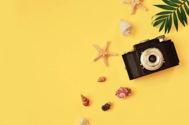 Tropikal arka plan. Palmiye ağaçların dalları ile kamera ve Sarı zemin üzerine deniz kabuğu. Seyahat. Kopya alanı.