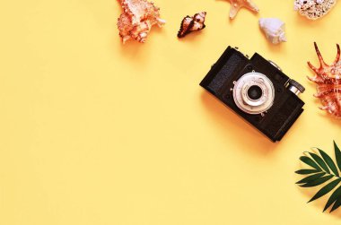 Tropikal arka plan. Palmiye ağaçların dalları ile kamera ve Sarı zemin üzerine deniz kabuğu. Seyahat. Kopya alanı.