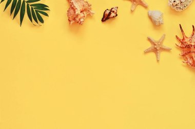 Tropikal arka plan. Palmiye ağaçların dalları ile deniz yıldızı ve Sarı zemin üzerine deniz kabuğu. Seyahat. Kopya alanı.