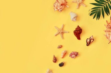 Tropikal arka plan. Palmiye ağaçların dalları ile deniz yıldızı ve Sarı zemin üzerine deniz kabuğu. Seyahat. Kopya alanı.