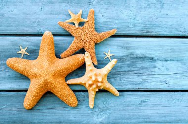 Yaz deniz arka plan - kabukları, yıldız ahşap mavi arka plan üzerinde