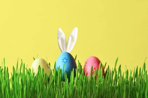 Conejito divertido de Pascua en hierba verde con huevos de Pascua. Fondo de Pascua . — Foto de Stock