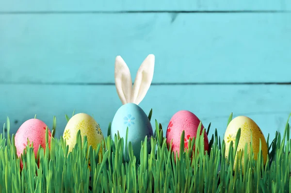 Conejito divertido de Pascua en hierba verde con huevos de Pascua. Fondo de Pascua . — Foto de Stock