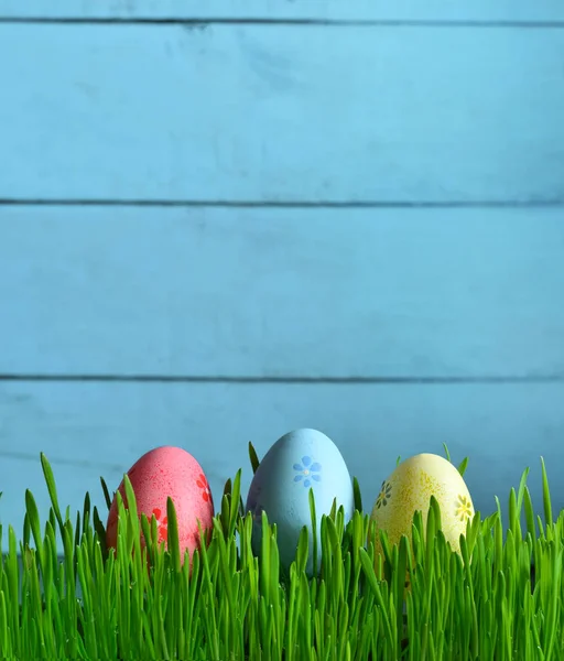 Œufs de Pâques peints dans une herbe verte sur une prairie . — Photo
