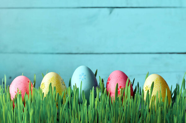 Painted Easter eggs in a green grass on a meadow.