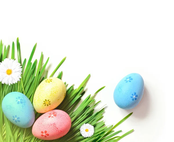 Ovos de pintura de Páscoa com margarida na grama verde fresca — Fotografia de Stock