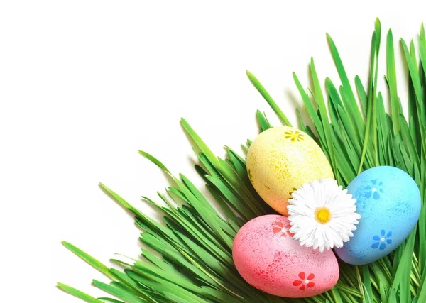 Huevos de Pascua pintados con margarita sobre hierba verde fresca — Foto de Stock