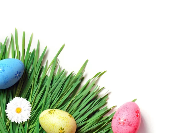 Huevos de Pascua pintados con margarita sobre hierba verde fresca — Foto de Stock